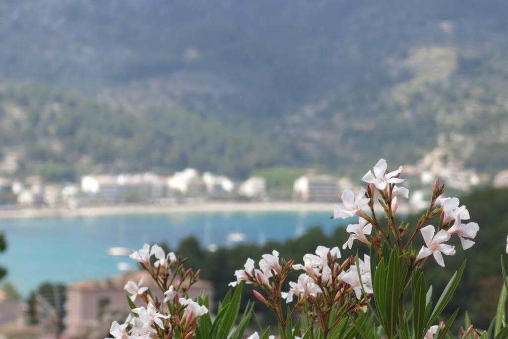 Apartamento En El Puerto De Soller Con Gran Terraza Privada Y Vistas Al Mar. Piscina Comunitaria. Localizado En Un Zona Tranquila Y Muy Soleada. Wifi Gratis Disponible. Parking. المظهر الخارجي الصورة